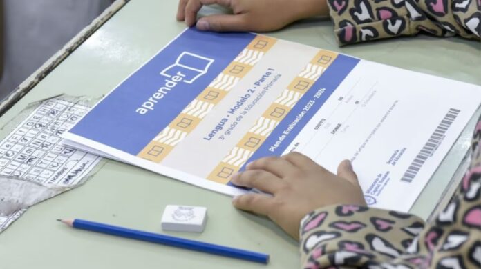 1562469-en-chubut-menos-de-la-mitad-de-los-ninos-de-3-grado-logra-comprender-textos