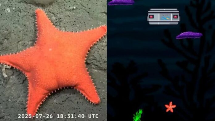 1840323-sumergite-en-talud-mar-del-plata-el-videojuego-que-revive-la-expedicion-submarina-del-conicet