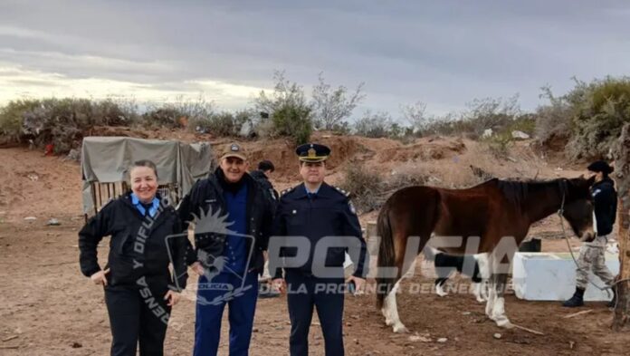 2033649-secuestraron-armas-y-rescataron-un-caballo-en-un-aguantadero-de-plottier