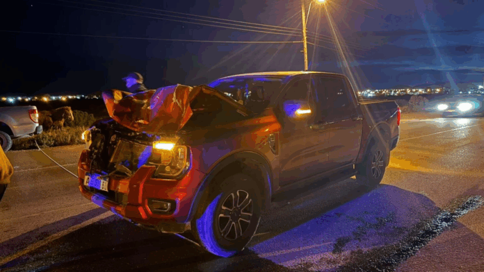 2213173-conductor-choco-contra-un-caballo-en-zona-norte