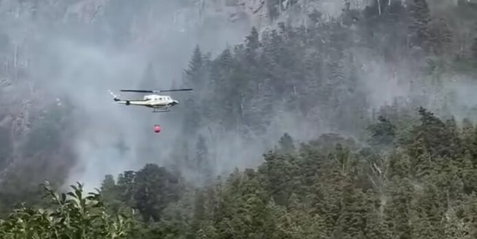 2590754-el-incendio-que-arraso-con-mas-de-200-hectareas-en-chubut-fue-intencional-y-piden-ayu6942f9b852fbf