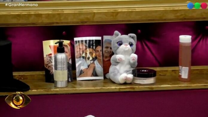 2982597-de-que-murio-el-padre-de-daniela-de-lucia-la-participante-que-abandono-gran-hermano-g699fdb4f7321a